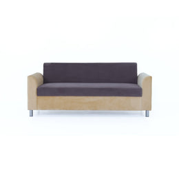Two tone sofa front view