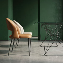 Y8013 Dining Chair
