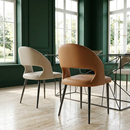 Y8013 Dining Chair