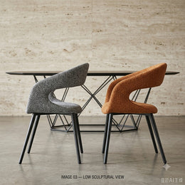 Y8019 Dining Chair