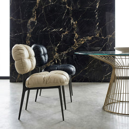 Y8029 Dining Chair