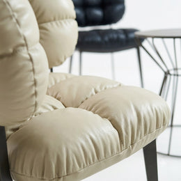 Y8029 Dining Chair